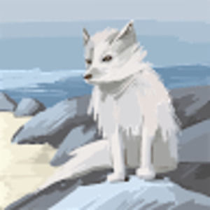 Meet your Posher, Carson